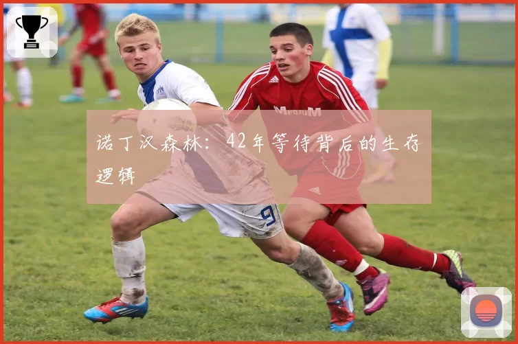 诺丁汉森林：42年等待背后的生存逻辑