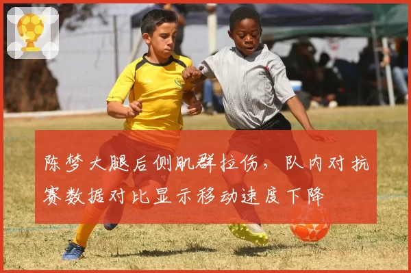 陈梦大腿后侧肌群拉伤，队内对抗赛数据对比显示移动速度下降