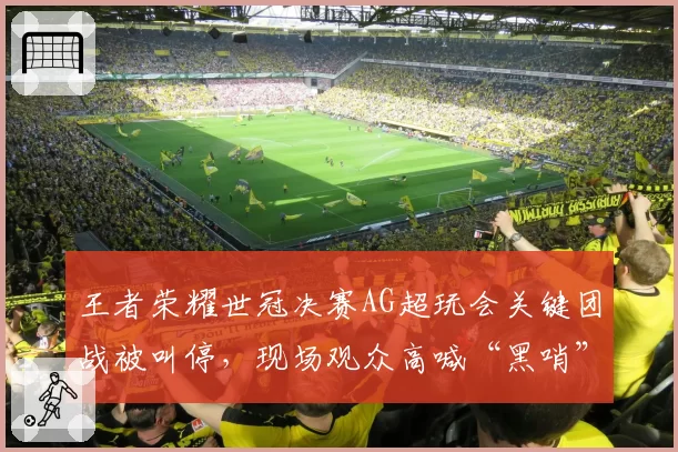 王者荣耀世冠决赛AG超玩会关键团战被叫停，现场观众高喊“黑哨”