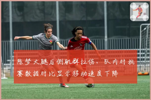 陈梦大腿后侧肌群拉伤，队内对抗赛数据对比显示移动速度下降