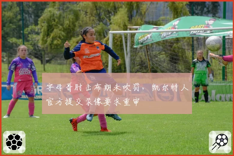字母哥肘击布朗未吹罚,凯尔特人官方提交录像要求重审